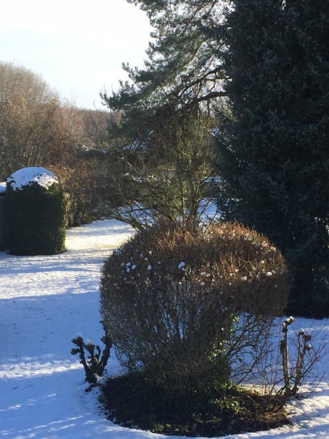 Bed and Breakfast La Ferme Des Ruelles Moigny Zewnętrze zdjęcie